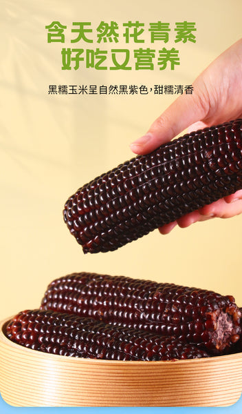 Yes Natural Organic Yellow Glutinous Corn / Organic Black Glutinous Corn 悦意有机黄糯玉米/悦意有机糯玉米 400g (2pcs/pack)